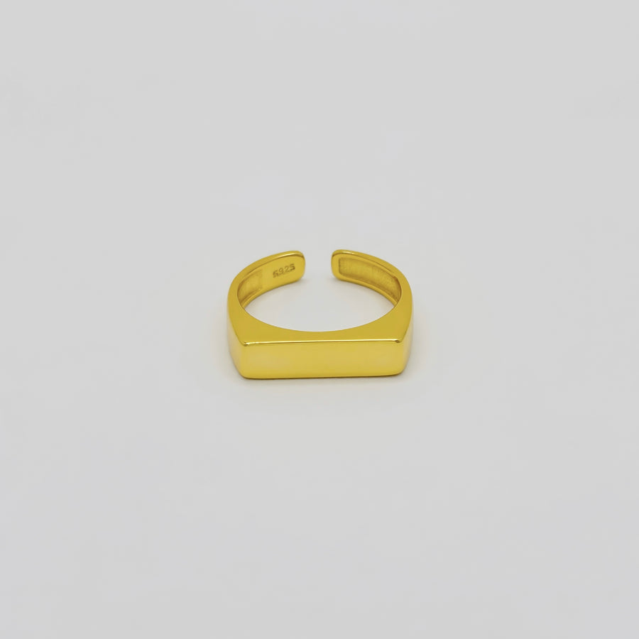 This gold vermeil flat-top ring features a bold and contemporary aesthetic, perfect for making a stylish statement. Made from 925 sterling silver 