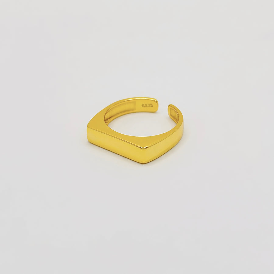 This gold vermeil flat-top ring features a bold and contemporary aesthetic, perfect for making a stylish statement. Made from 925 sterling silver 